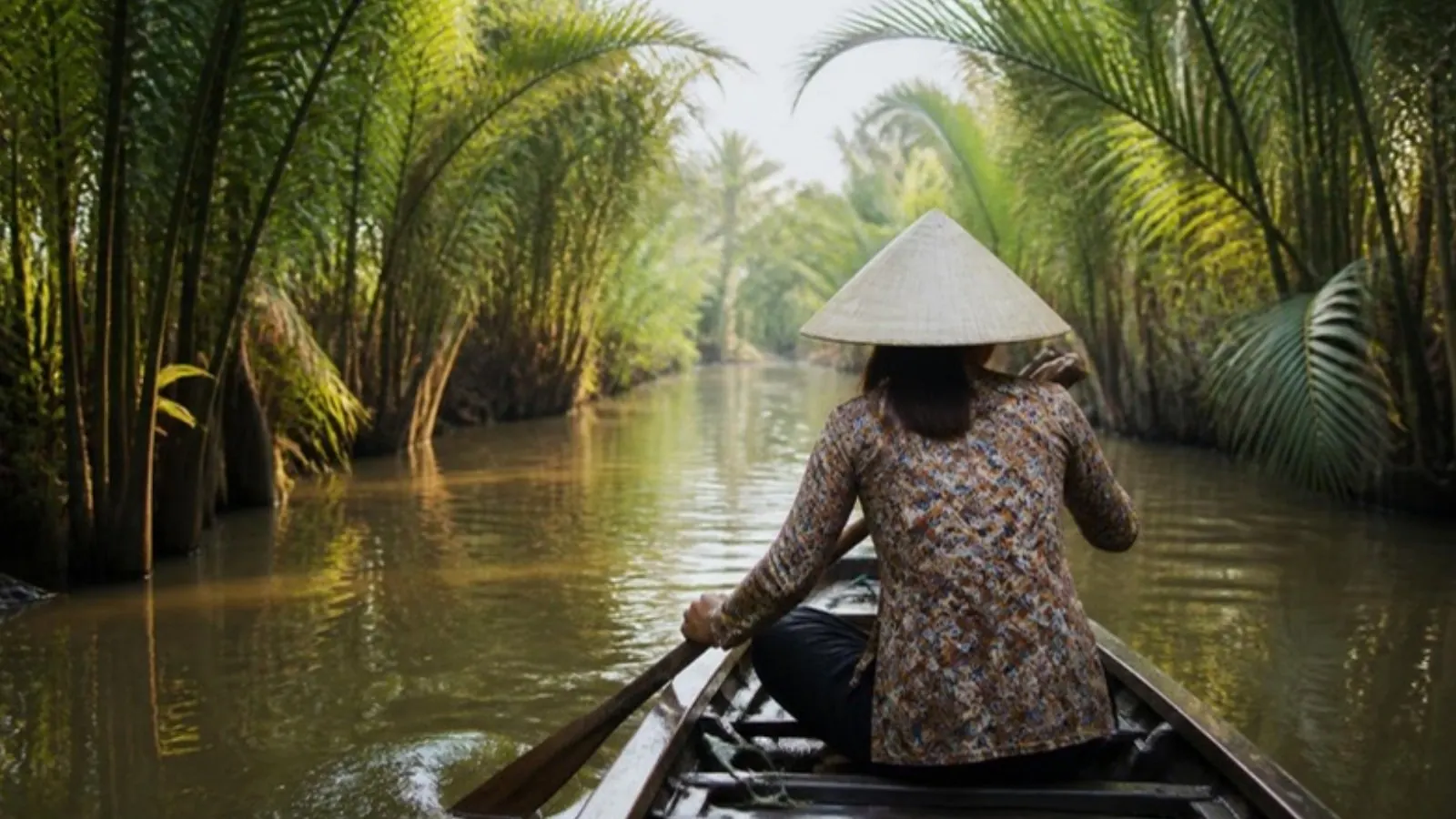 Wooden sampan rowing through coconut palm canals in the Mekong Delta, southern Vietnam