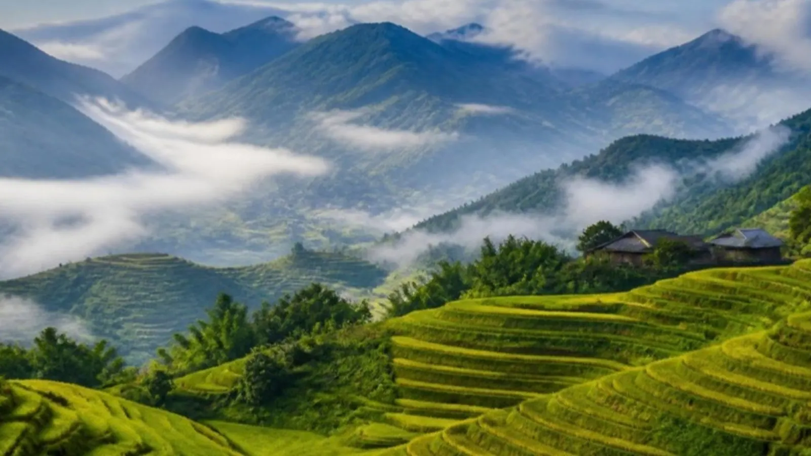 Green rice terraces in the Sapa mountains with mist in the valley, northern Vietnam