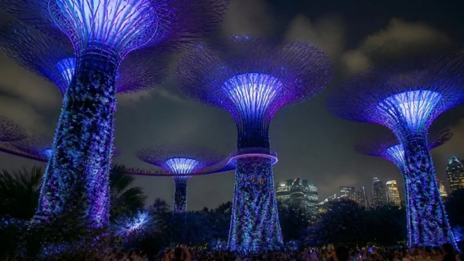 Supertree Grove light show
